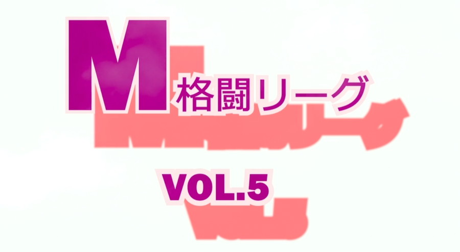 M格闘リーグ VOL.5　パッケージ