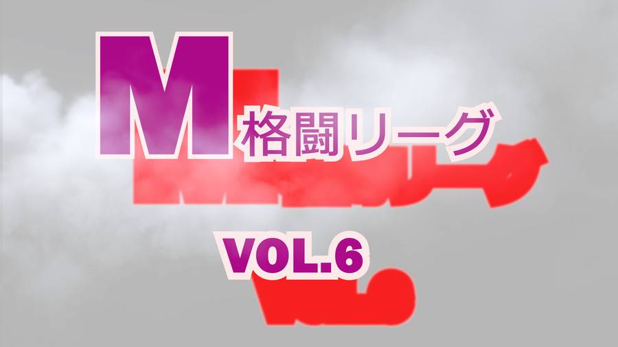 M格闘リーグ VOL.6　パッケージ