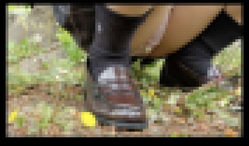 【クラッシュ・音声無】制服コスプレ撮影の足元でたんぽぽがローファーに踏まれる(J2_030) サンプル画像