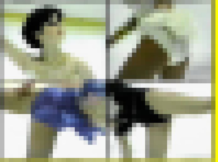 AI1824／「〔極限的画質盤〕幻のアンスコフィギュアガール白書（１）～八木沼選手も」 サンプル画像